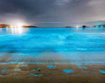 Bioluminescent in Tasmania Australia