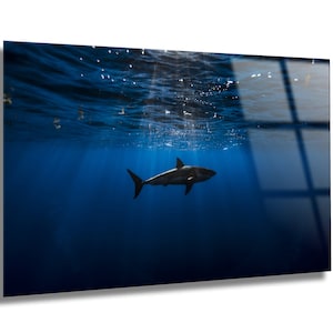 Tempered Glass Wall Art-Shark Wall Decoration-Animal Glass Wall Hangings-Glass Print Home Decor