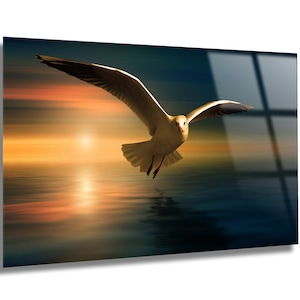 Tempered Glass Wall Art-Seagull in Sunset Wall Decoration-Animal Glass Wall Hangings-Glass Print Home Decor