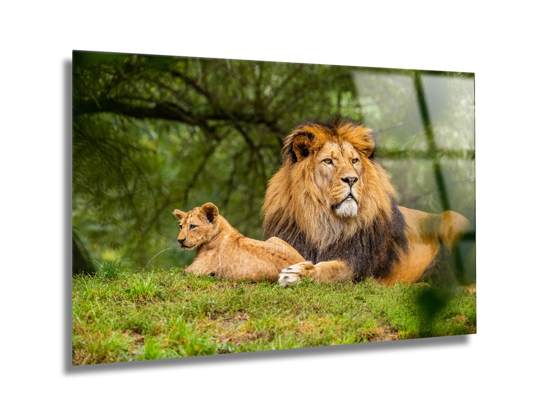 Buy Tempered Glass Wall Artlion Family Wall Decorationanimal Glass