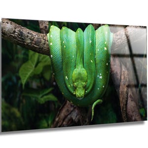 Green Tree Python Tempered Glass Wall Art, Modern Animal Print
