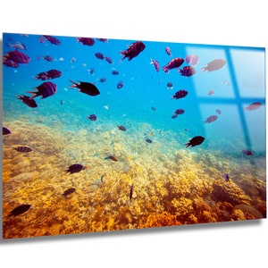 Tempered Glass Wall Art-Tropical Fishes Wall Decoration-Animal Glass Wall Hangings-Glass Print Home Decor