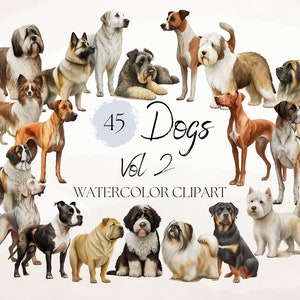 45 Hunde Clipart Set - Hand gezeichnet - Kleine, mittelgroße und große Hunderassen - Aquarell Digitale PNG - Terrier Bulldogge Cockapoo - Süßtiere Haustiere