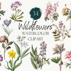 Esthétique de fleurs sauvages aquarelle numérique Clipart PNG fichier - faire-part d'anniversaire de mariage - fleur des prés - feuilles florales de forêt boisée