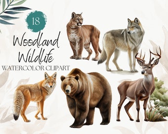 18 Watercolor Woodland Wildlife Clipart - Hand Drawn - Watercolor Digital PNG - Fox, Deer, Bear, Wolf - Cute Animal Clipart, Commercial Use