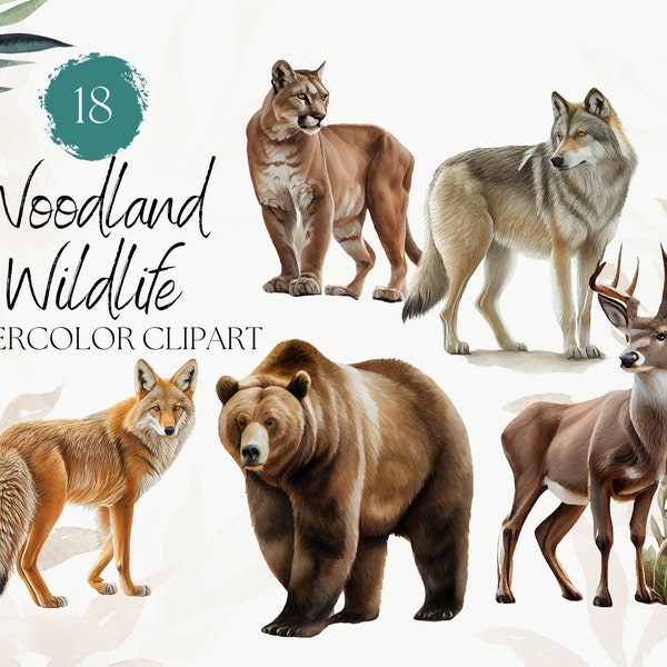 18 Acuarela Woodland Wildlife Clipart - Dibujado a mano - Acuarela Digital PNG - Zorro, Ciervo, Oso, Lobo - Lindo Animal Clipart, Uso Comercial