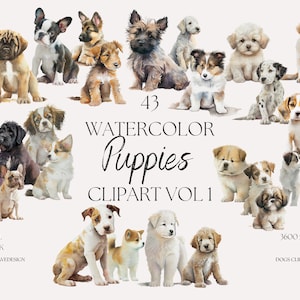 Ensemble de 43 cliparts chiots - dessinés à la main - petites races de chiens, moyennes et grandes - aquarelle numérique PNG - Terrier Labrador caniche - animaux mignons