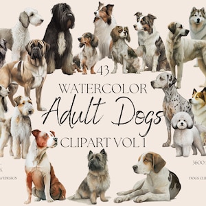 43 Hunde Clipart-Set - Handgezeichnet - kleine, mittelgroße und große Hunderassen - Aquarell digitale PNG - Terrier Labrador Pudel - Süßtiere Haustiere