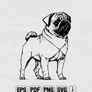 fullbody pug svg, Peeking Dog svg, Dog Svg, Pug Svg, Pug Clipart,pub