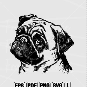 Süßer Mops Kopf svg, spähender Hund svg, Hunde svg, Mops svg, Mops Clipart,pub
