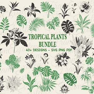Tropical Plants Svg Bundle, Tropical leaves svg, monstera leaf svg clipart, commercial use svg, jungle leaves clipart, palm branch svg