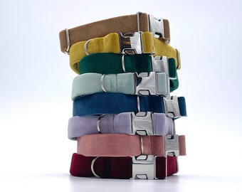 Dog Collar | Cat collar |Velvet | Velor | Delicate | Premium | Metal buckle | Perfect for a gift