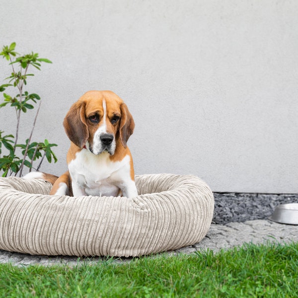 Lit rond pour chien | canapé chat | lit pour animaux de compagnie | lit pour chat | nid de chat en velours côtelé, coussin pour chien, places de couchage pour UN animal de compagnie 60cm | 80 cm | 100 cm