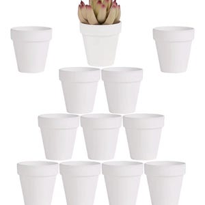 Puede incluir: Once macetas de cerámica blanca, una de ellas con una suculenta de hojas verdes y rojas. Las macetas están dispuestas para su exhibición, adecuadas para la decoración del hogar o la jardinería. Altura aproximada de 10 cm.