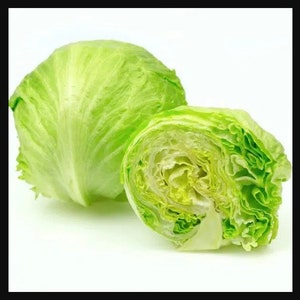 25+ Iceberg Lettuce Seeds Vegetable - Non GMO - Seed Vault Co - Organic Heirloom - Sealed Fresh Storage
