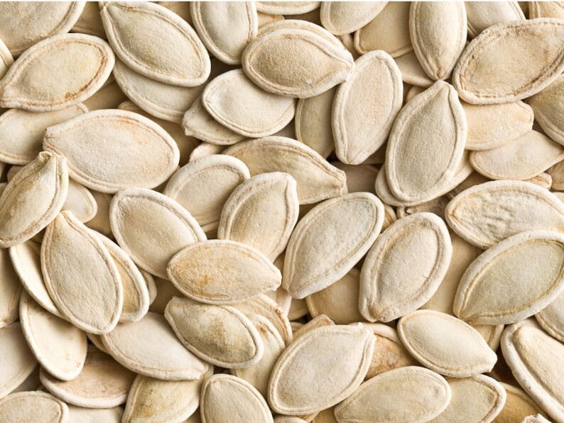 10 Old Flat White Boer Pumpkin Seeds Cucurbita Maxima Nongmo Organic Stacker Home Decor Etsy