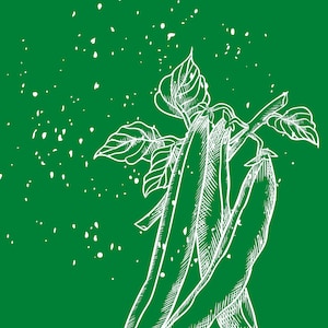 Digital Download - Peas graphic