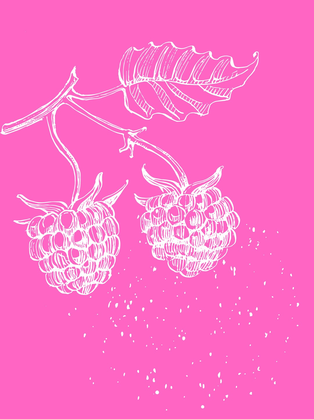 Digital Download - Raspberries Graphic - Etsy