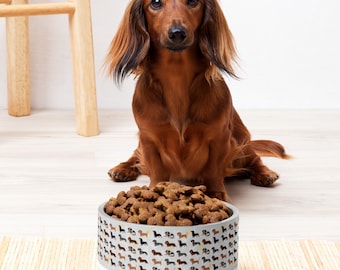 Dachshund Food Bowl  Dachshund Water Dish Dog bowl Dachshund gift