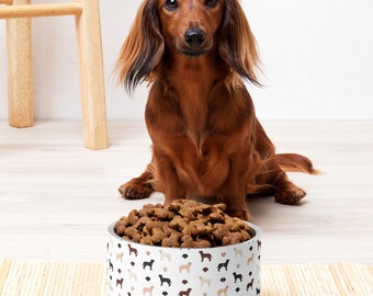 Labrador Food Bowl Lab Retriever Water Dish Labrador Retriever Pet Bowl Laboratoire jaune Laboratoire de chocolat Cadeau de laboratoire noir
