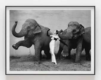 Dovima with the Elephants Print | Cirque d'hiver, August 1955. Dovima photographed by Richard Avedon | Vintage | Premium Quality Print