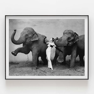 Dovima avec les éléphants | Cirque d'hiver, août 1955. Dovima photographiée par Richard Avedon | millésime | Impression de qualité supérieure