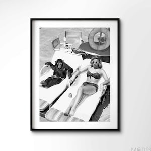 Tomar el sol con chimpancé 1949 / Vintage / Impresión Premium