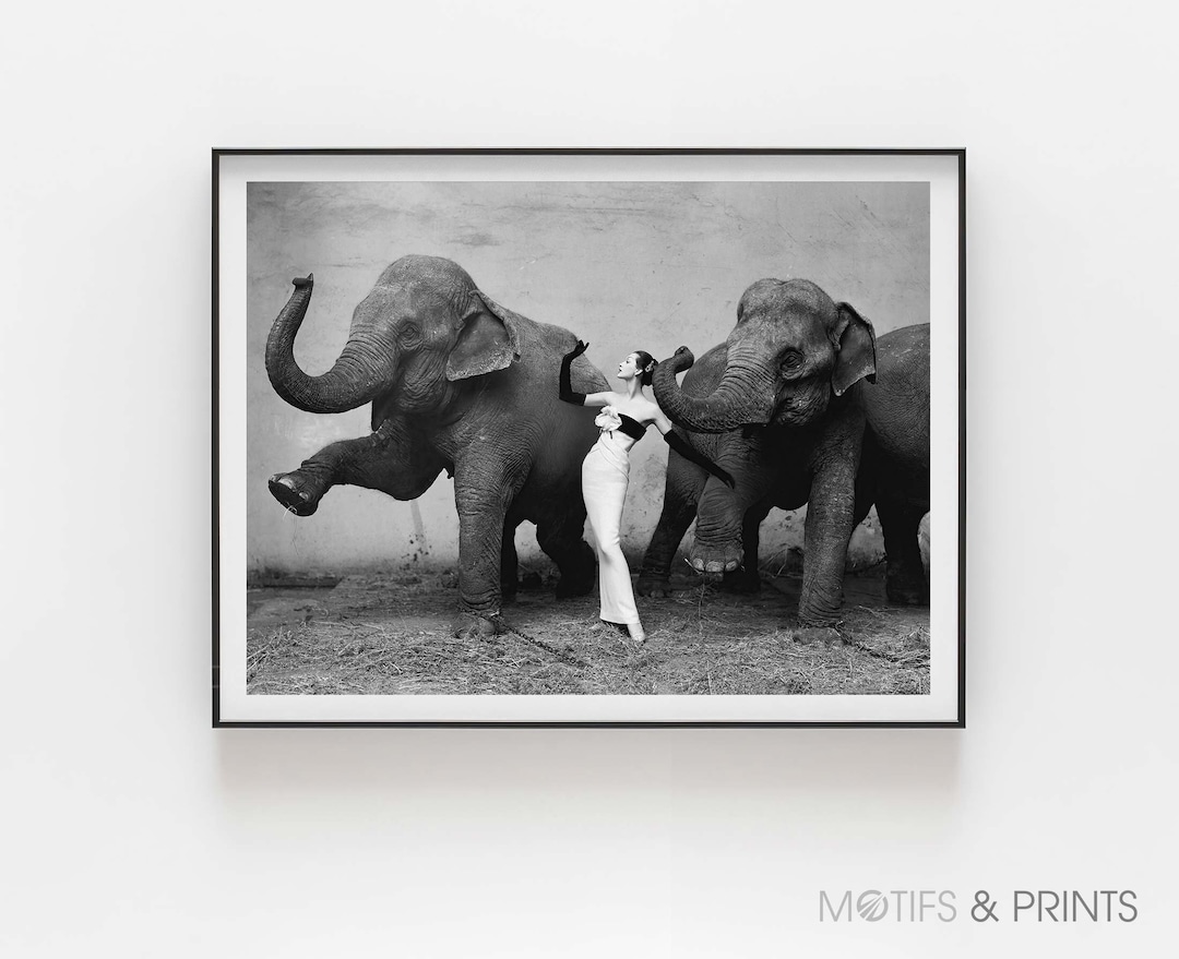 Dovima with Elephants // Richard Avedon - Signed & Unsigned