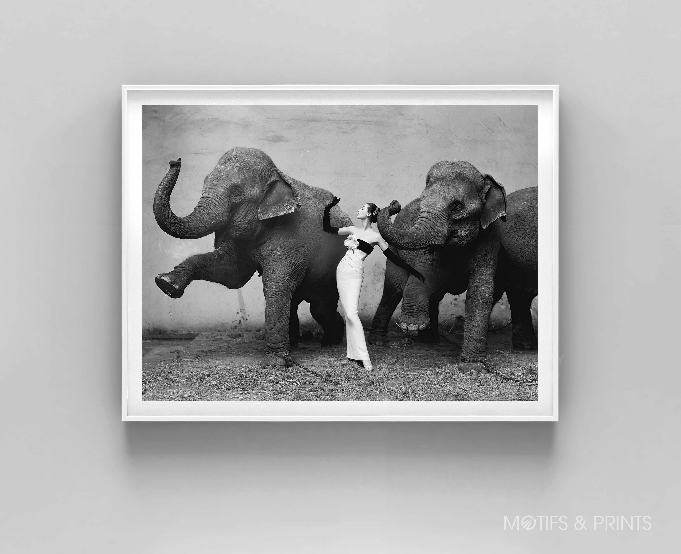 Dovima With the Elephants Print Cirque D'hiver, August 1955. Dovima Photographed by Richard Avedon Vintage Premium Quality Print - Etsy Dovima With the Elephants Print Cirque D'hiver, August 1955. Dovima Photographed by Richard Avedon Vintage Premium Quality Print - Etsy