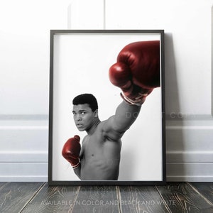 Muhammad Ali 1963 Impresión / Póster de calidad premium