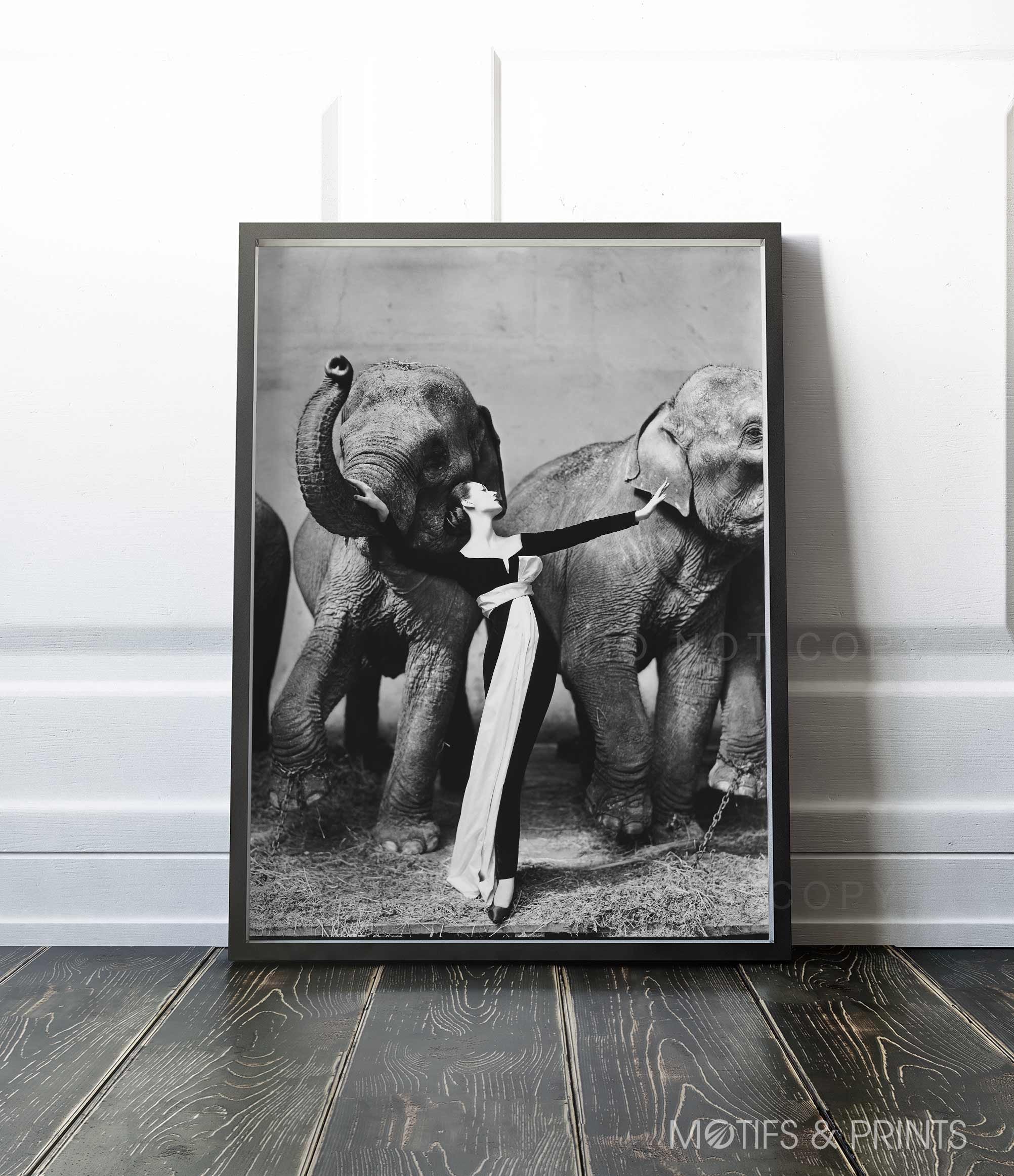 Dovima with the Elephants | Evening Dress | Cirque d'hiver, August 1955 photographed by Richard Avedon | Vintage | Premium Quality Print