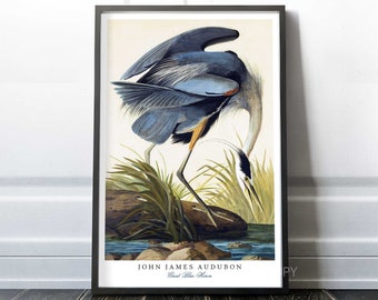 Great Blue Heron | 1821 John James Audubon | Birds of America series | Premium Quality Print