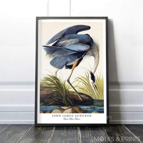 Great Blue Heron | 1821 John James Audubon | Birds of America series | Premium Quality Print