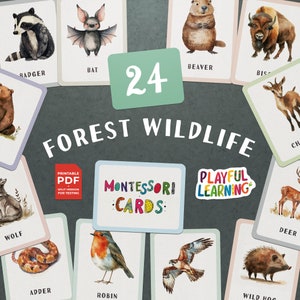 Montessori Forest Wildlife Cards - Printable Educational Flashcards for Kids, Toddlers, and Preschoolers - Homeschool Learning Tool