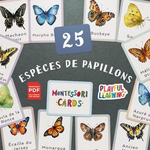 Cartes Éducatives Montessori Espèces de Papillons - Cartes Imprimables pour l'Apprentissage des Enfants - Ludiques et Pédagogiques