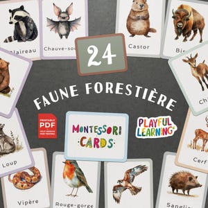 Cartes Éducatives Montessori Faune Forestière - Cartes Imprimables pour l'Apprentissage des Enfants, École à la Maison, Maternelle