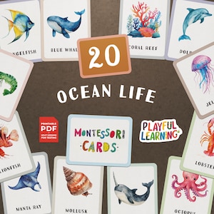 Montessori Ocean Life Cards - educatieve flashcards voor zeedieren voor kinderen, peuters en kleuters - afdrukbaar leermateriaal