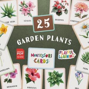 Cartes-éclair sur les plantes du jardin Montessori - éducatives à imprimer pour les enfants, école à la maison, école maternelle, apprentissage de la maternelle, étude de botanique interactive