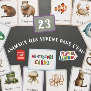 Cartes Éducatives Montessori Animaux Qui Vivent dans l'Eau - Cartes Imprimables pour l'Apprentissage des Enfants、École à la Maison