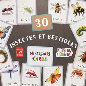 Cartes Éducatives Montessori Insectes et Bestioles - Cartes Imprimables pour l'Apprentissage des Enfants - Ludiques et Pédagogiques