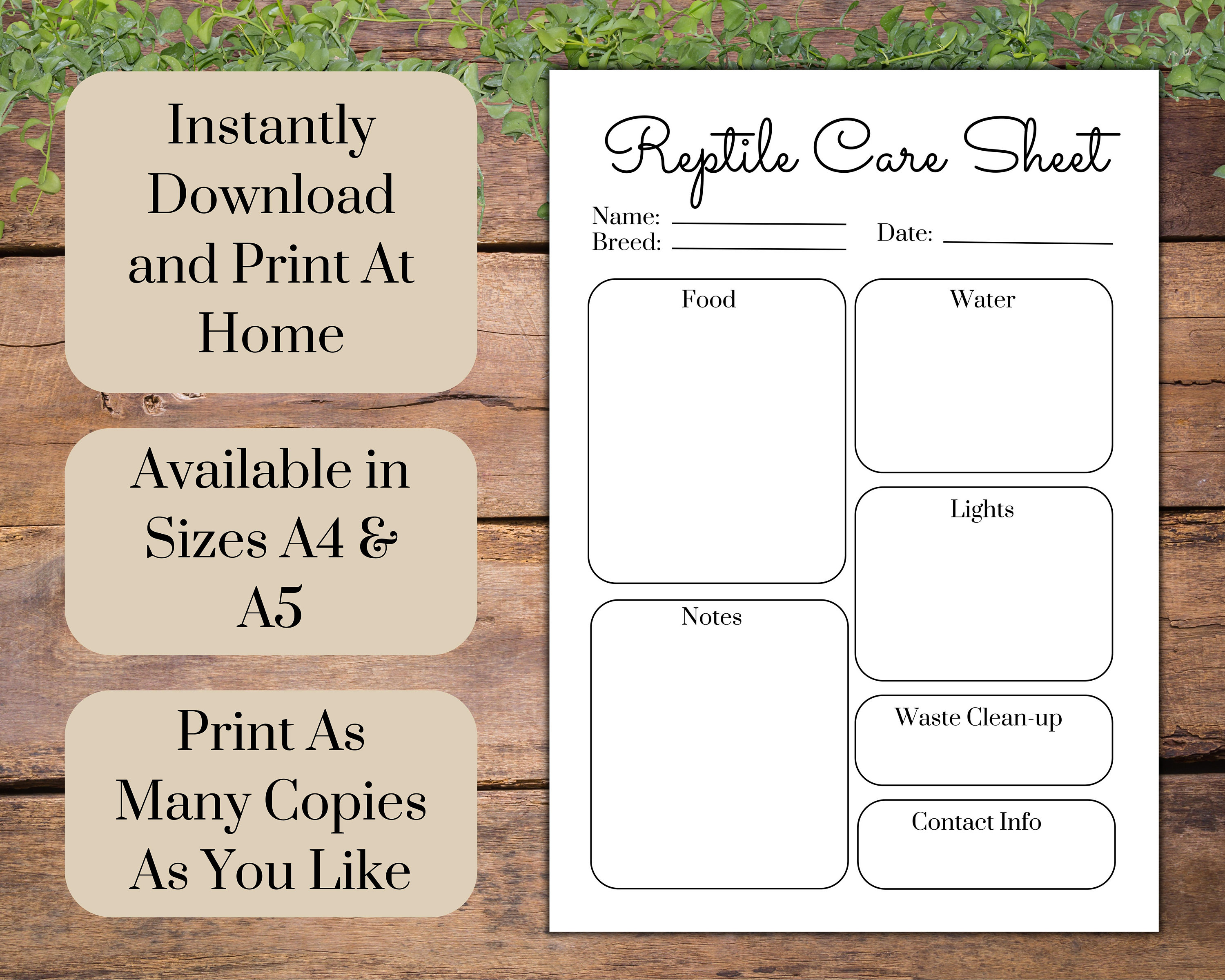 Printable Care Instructions for Reptile Sitters Downloadable Etsy