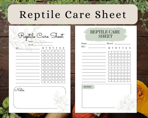 Printable Reptile Care Sheet A4 and A5 Instant Download Snake
