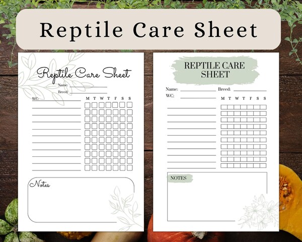 Printable Reptile Care Sheet A4 and A5 Instant Download Snake Health ... - Snake Feeding Planner Printable Checklist