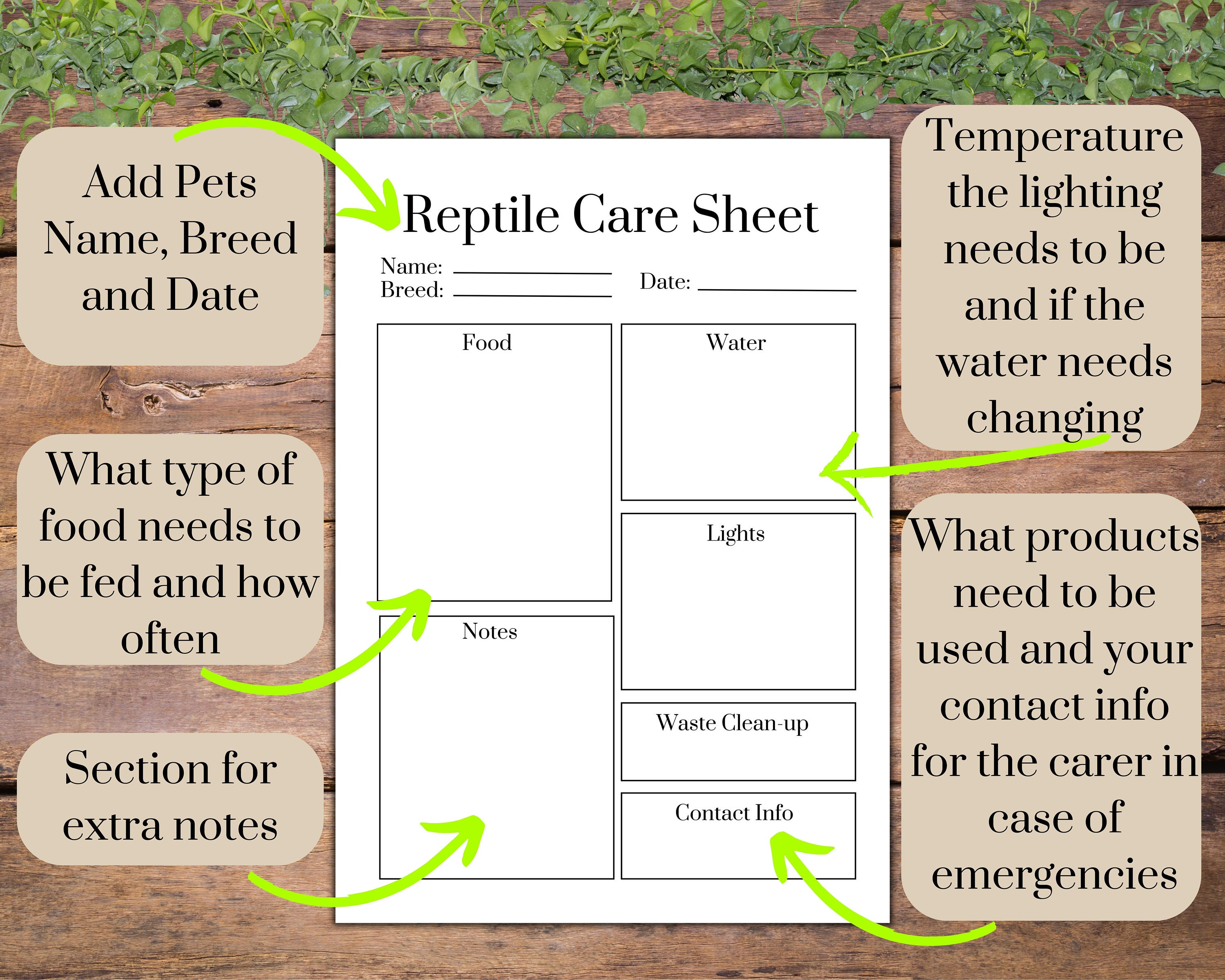 Printable Care Instructions for Reptile Sitters Downloadable Etsy