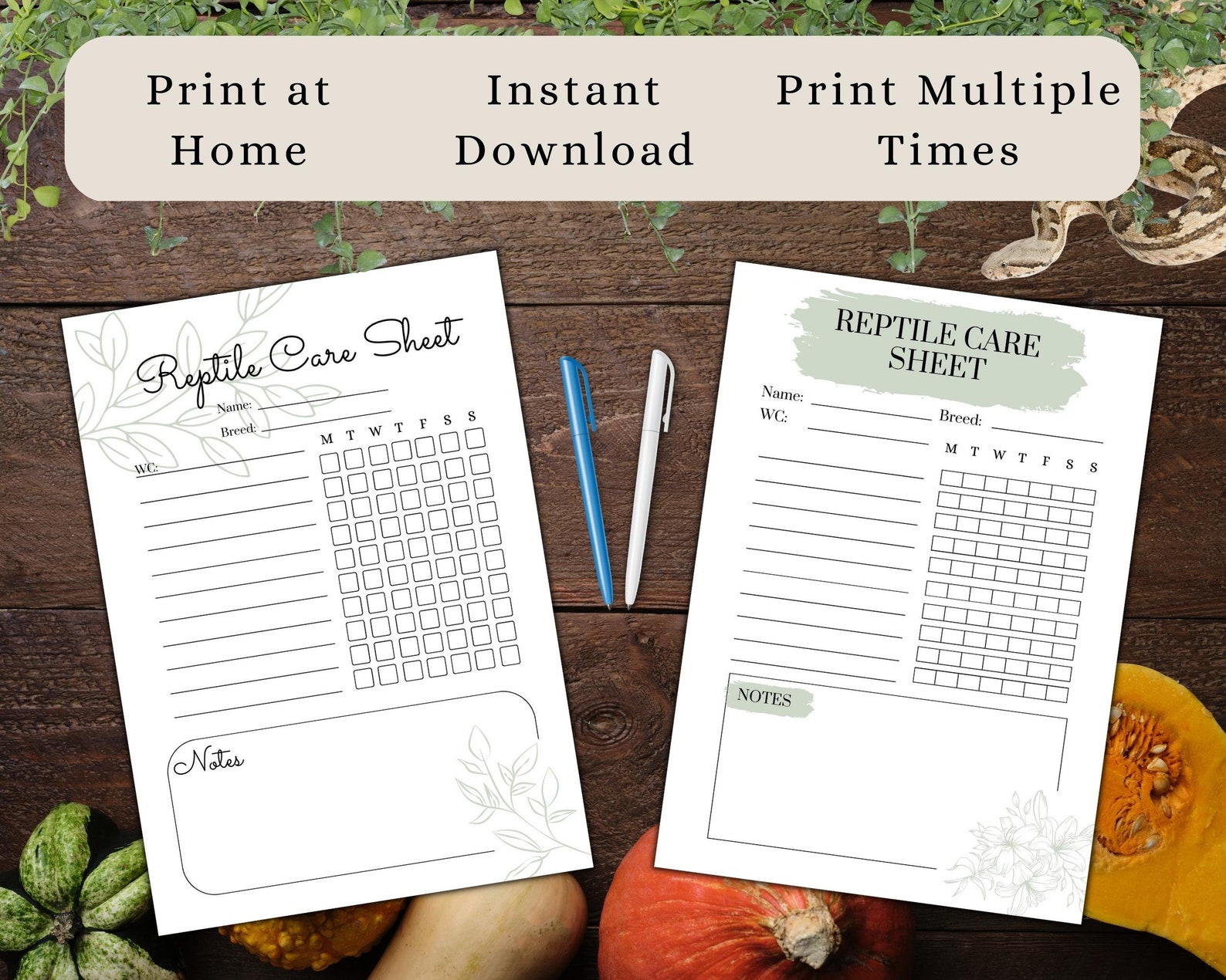 Printable Reptile Care Sheet A4 and A5 Instant Download Snake Health