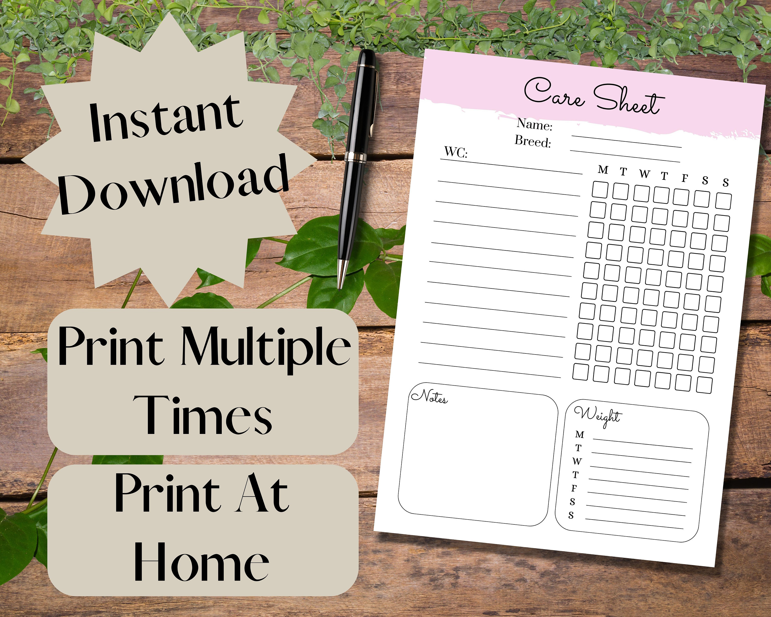 Printable Reptile Care Sheet A4 and A5 Available Instant Download ...