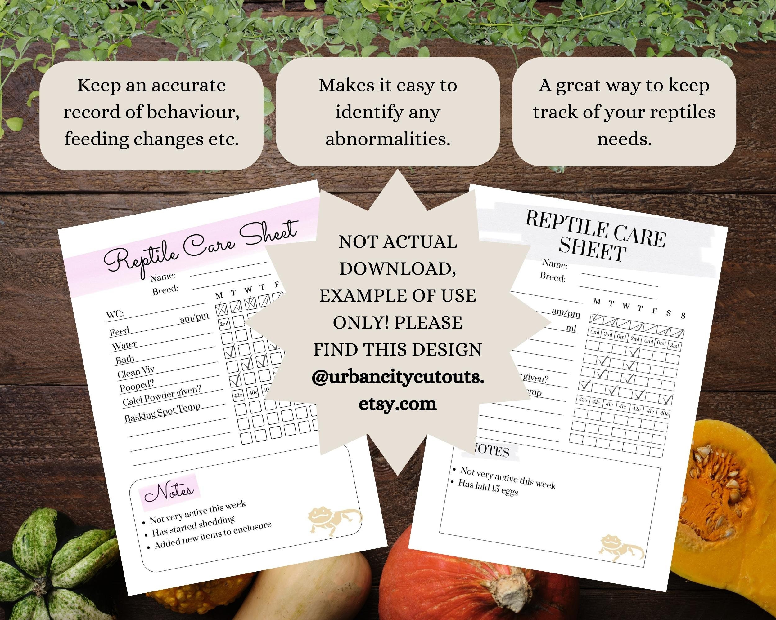 Printable Reptile Care Sheet A4 and A5 Instant Download Snake Health ...