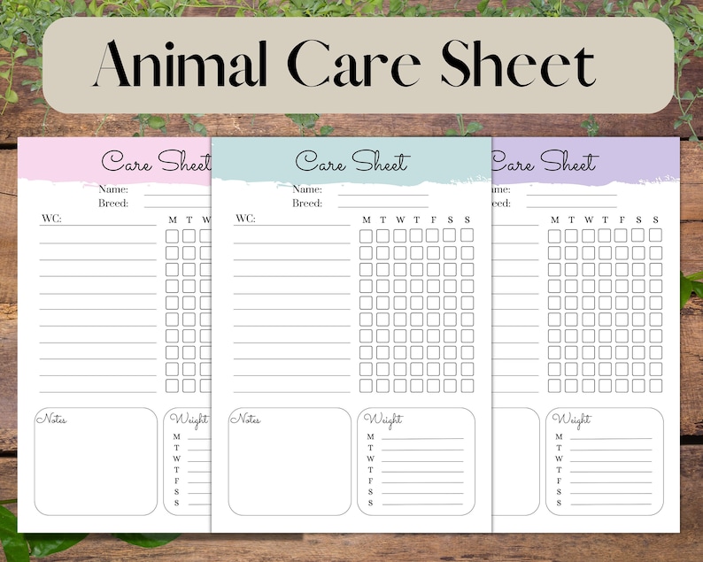 Printable Reptile Care Sheet A4 and A5 Available Instant Download