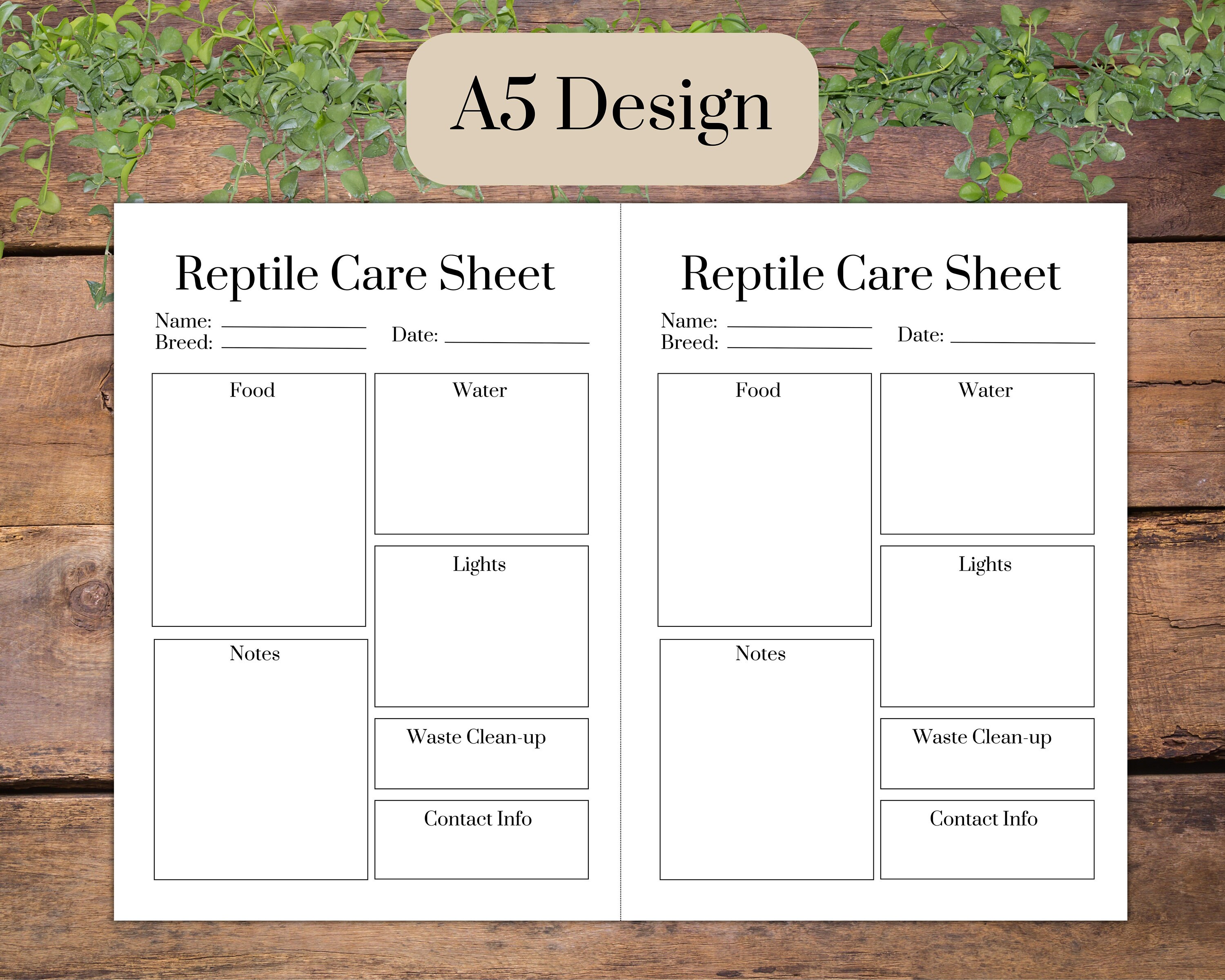 Printable Care Instructions for Reptile Sitters Downloadable Etsy