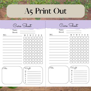 Printable Reptile Care Sheet A4 and A5 Available Instant Download ...